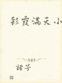 彩霞满天小说
