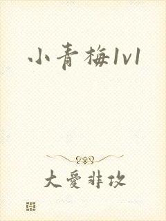 小青梅1v1封面