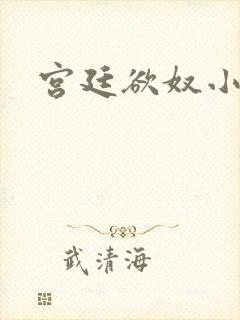 宫廷欲奴小说封面