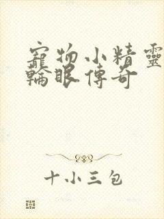 宠物小精灵之写轮眼传奇