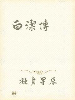 白洁传