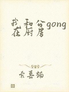 我和公gong在厨房