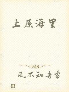 上原海里
