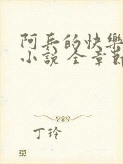 阿兵的快乐生活小说 全章节阅读免费