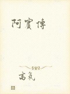 阿宾传
