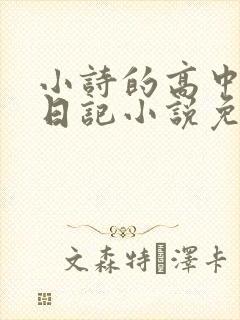 小诗的高中成长日记小说免费阅读