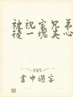 被祝家兄弟共享后一块夹心饼封面