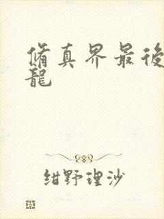 修真界最后一条龙