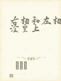 右相和左相一起淦皇上