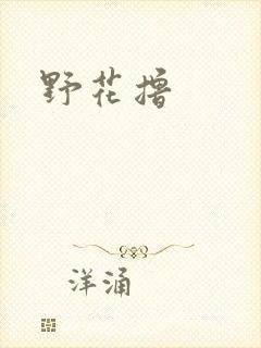 野花撸封面