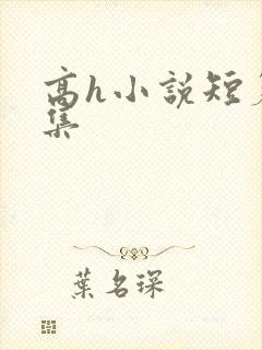 高h小说短篇合集封面
