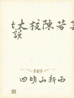 t大校陈若芸小说