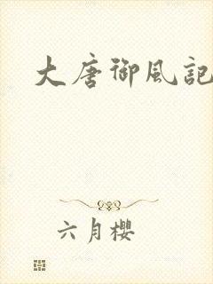 大唐御风记