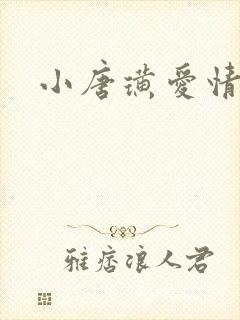 小唐璜爱情历史