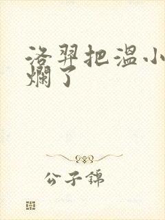 洛羿把温小辉做烂了封面