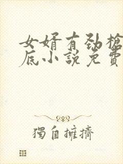 女婿有劲枪枪到底小说免费看