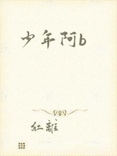少年阿b