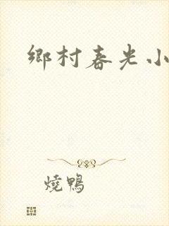 乡村春光小说封面