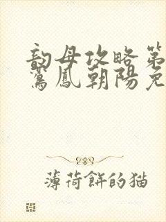 韵母攻略第二部鸾凤朝阳免费阅读