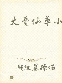 大爱仙尊小说
