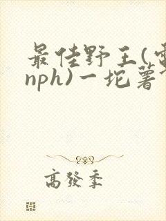 最佳野王(电竞nph)一坨薯饼