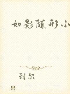 如影随形小说