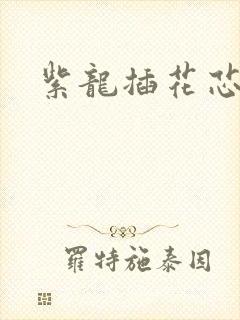 紫龙插花芯方正封面