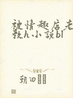 被情趣店老板调教h小说bl封面
