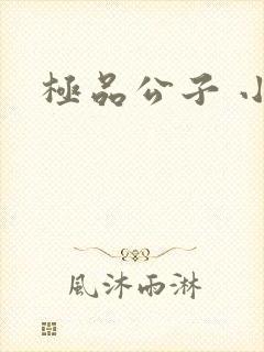 极品公子 小说封面
