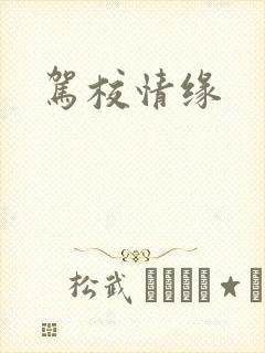 驾校情缘