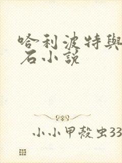 哈利波特与魔法石小说