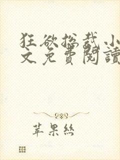 狂欲总裁小说全文免费阅读封面
