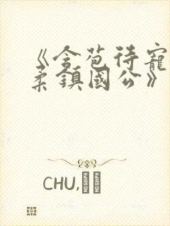 《含苞待宠花婉柔镇国公》