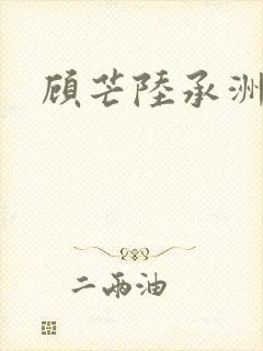 顾芒陆承洲