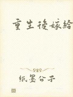 重生后嫁给三叔封面