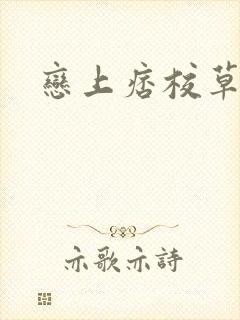 恋上痞校草