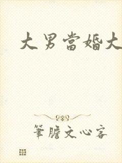 大男当婚大结局