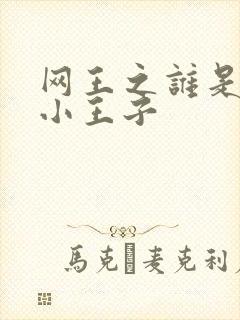 网王之谁是我的小王子