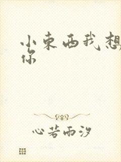 小东西我想弄坏你