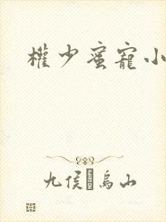 权少蜜宠小娇妻