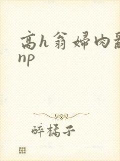 高h翁妇肉乱文np封面