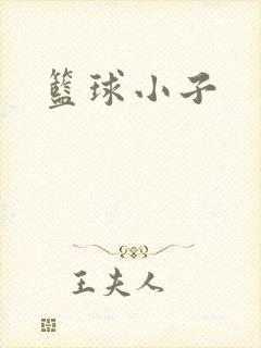 篮球小子