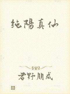 纯阳真仙