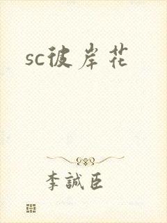 sc彼岸花封面