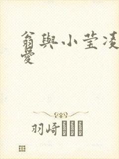 翁与小莹凌晨欢爱