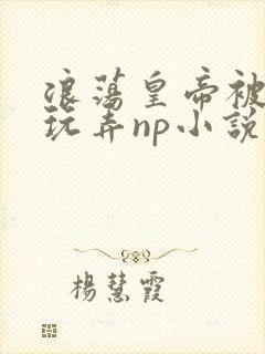 浪荡皇帝被多人玩弄np小说封面