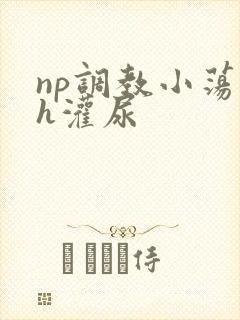 np调教小荡货h灌尿