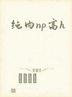 纯肉np高h