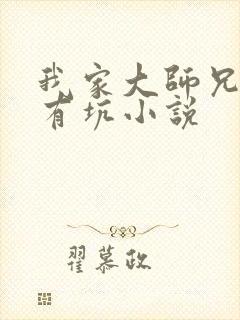 我家大师兄脑子有坑小说封面