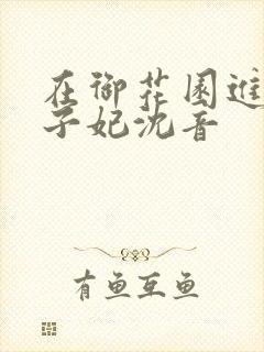 在御花园进入太子妃沈音封面